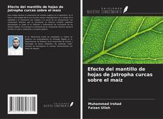 Buchcover von Efecto del mantillo de hojas de Jatropha curcas sobre el maíz