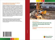 Bookcover of Comportamento de grupos de estacas escavadas em solo granular