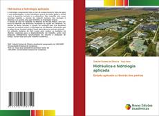 Bookcover of Hidráulica e hidrologia aplicada