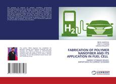Copertina di FABRICATION OF POLYMER NANOFIBER AND ITS APPLICATION IN FUEL CELL