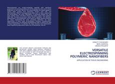 Copertina di VERSATILE ELECTROSPINNING POLYMERIC NANOFIBERS