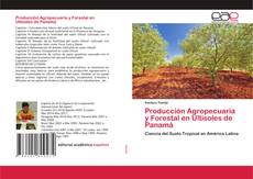 Copertina di Producción Agropecuaria y Forestal en Ultisoles de Panamá