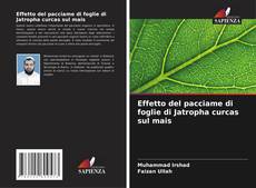 Capa do livro de Effetto del pacciame di foglie di Jatropha curcas sul mais 
