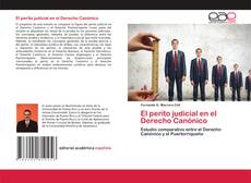 Copertina di El perito judicial en el Derecho Canónico