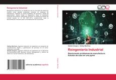 Couverture de Reingeniería Industrial