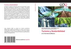 Copertina di Turismo y Sostenibilidad