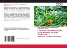Control de enfermedades en Hortalizas en Baja California kitap kapağı