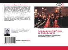 Innovación en las Pymes de Ciudad Juárez kitap kapağı