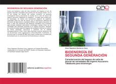 Copertina di BIOENERGÍA DE SEGUNDA GENERACIÓN