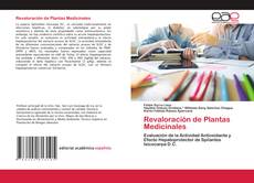 Buchcover von Revaloración de Plantas Medicinales