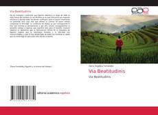 Via Beatitudinis kitap kapağı