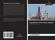 Copertina di Application of the Pinch Method