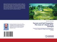 Copertina di Terrace and Soil Properties: The Case of Anjeni Area, Ethiopia