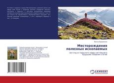 Copertina di Месторождения полезных ископаемых