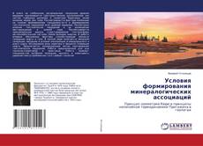 Copertina di Условия формирования минералогических ассоциаций