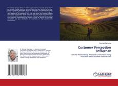 Copertina di Customer Perception Influence