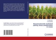 Buchcover von Brassinosteroids mediated salinity stress amelioration in maize