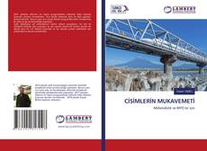 Copertina di CİSİMLERİN MUKAVEMETİ