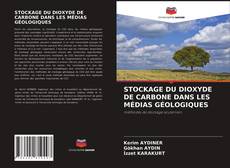 STOCKAGE DU DIOXYDE DE CARBONE DANS LES MÉDIAS GÉOLOGIQUES的封面