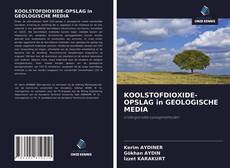 Обложка KOOLSTOFDIOXIDE-OPSLAG in GEOLOGISCHE MEDIA