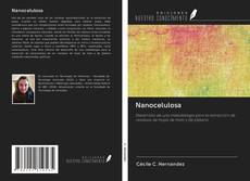 Buchcover von Nanocelulosa