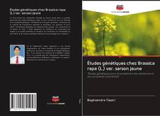 Copertina di Études génétiques chez Brassica rapa (L.) var. sarson jaune
