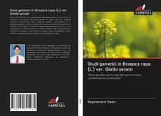 Bookcover of Studi genetici in Brassica rapa (L.) var. Giallo sarson