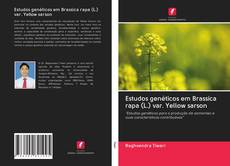 Capa do livro de Estudos genéticos em Brassica rapa (L.) var. Yellow sarson 