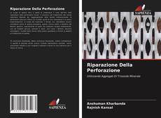 Portada del libro de Riparazione Della Perforazione