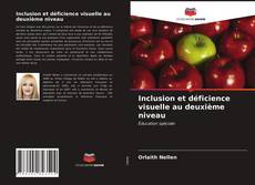 Couverture de Inclusion et déficience visuelle au deuxième niveau