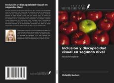 Bookcover of Inclusión y discapacidad visual en segundo nivel