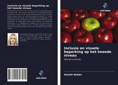 Bookcover of Inclusie en visuele beperking op het tweede niveau