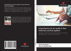 Couverture de Importance of an audit in the internal control system
