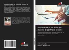 Bookcover of Importanza di un audit nel sistema di controllo interno