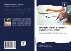 Capa do livro de Важность аудита в системе внутреннего контроля 