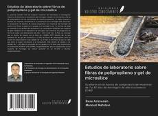 Bookcover of Estudios de laboratorio sobre fibras de polipropileno y gel de microsílice