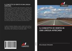 Buchcover von IL CONCETTO DI VERITÀ IN UNA LINGUA AFRICANA