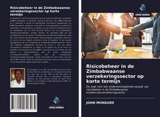 Buchcover von Risicobeheer in de Zimbabwaanse verzekeringssector op korte termijn
