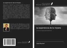 Bookcover of La experiencia de la meseta