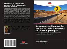 Обложка Les causes et l'impact des accidents de la route dans la fonction publique