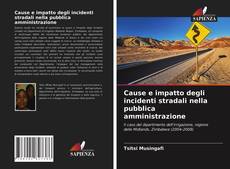 Buchcover von Cause e impatto degli incidenti stradali nella pubblica amministrazione