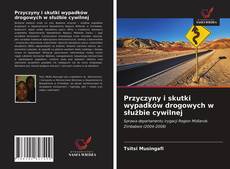Przyczyny i skutki wypadków drogowych w służbie cywilnej kitap kapağı