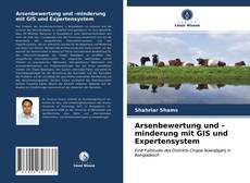 Bookcover of Arsenbewertung und -minderung mit GIS und Expertensystem