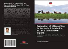 Couverture de Évaluation et atténuation de l'arsenic à l'aide d'un SIG et d'un système expert