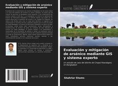 Copertina di Evaluación y mitigación de arsénico mediante GIS y sistema experto