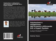 Buchcover von Valutazione e mitigazione dell'arsenico utilizzando GIS e Expert System