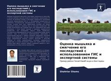 Couverture de Оценка мышьяка и смягчение его последствий с использованием ГИС и экспертной системы