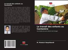 Обложка Le travail des enfants au Cachemire