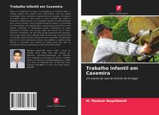 Copertina di Trabalho infantil em Caxemira