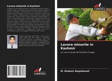 Bookcover of Lavoro minorile in Kashmir